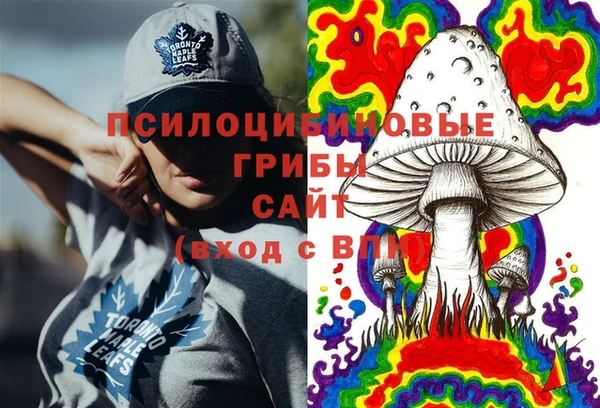 дмт Арсеньев
