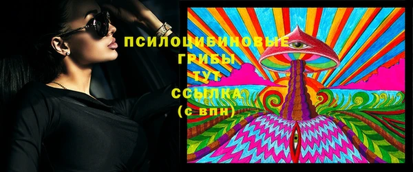 дмт Арсеньев