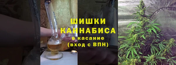дмт Арсеньев