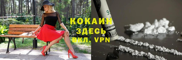 дмт Арсеньев