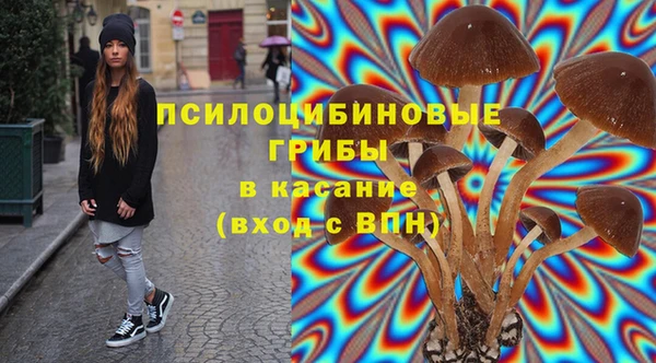 эйфоретик Балахна