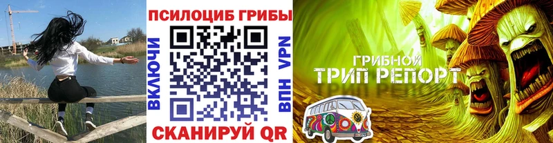 Псилоцибиновые грибы Cubensis купить Певек